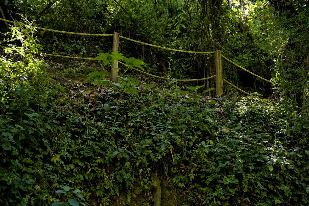 Hotel Rancho San Cayetano Ситакуаро Экстерьер фото